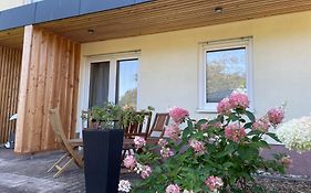 Wanderlust - Thüringer Wald, Rennsteig, Finsterbergen